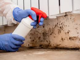 Best Real Estate Mold Inspection  in Castle Point, MO